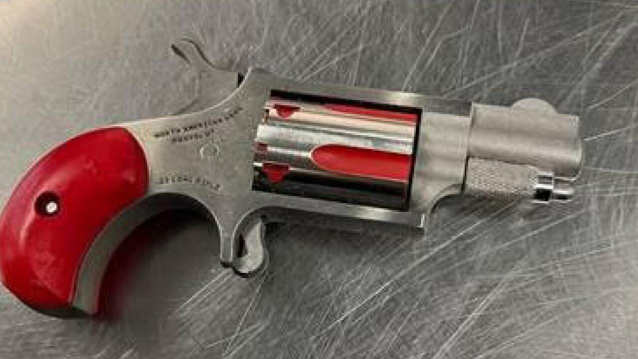 TSA Intercepts Loaded Gun At Newark Airport, Woman Arrested As Agency ...