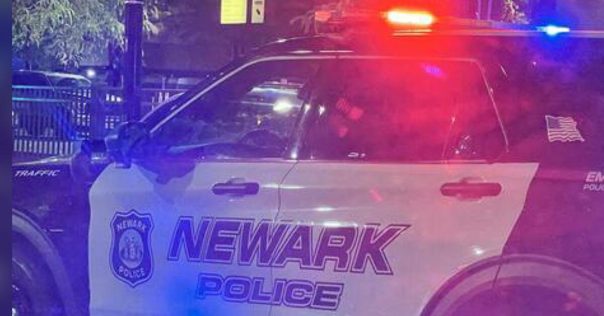 Suspects Attack Victim In Newark Armed Carjacking, Robbery